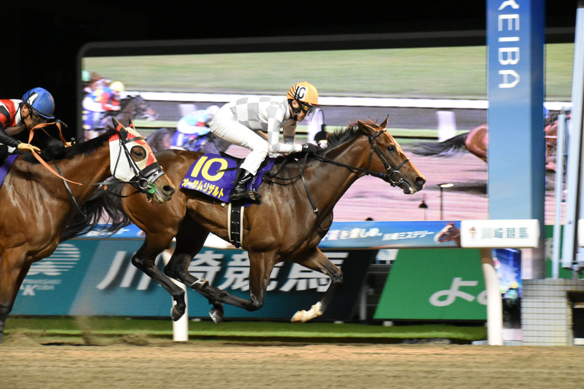 川崎競馬・エンプレス杯】新星誕生！武豊オーサムリザルトが逃げ切りV